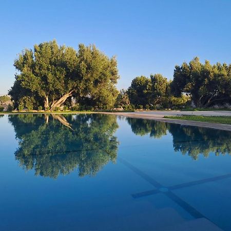 Villa Coriandre Essaouira Eksteriør billede